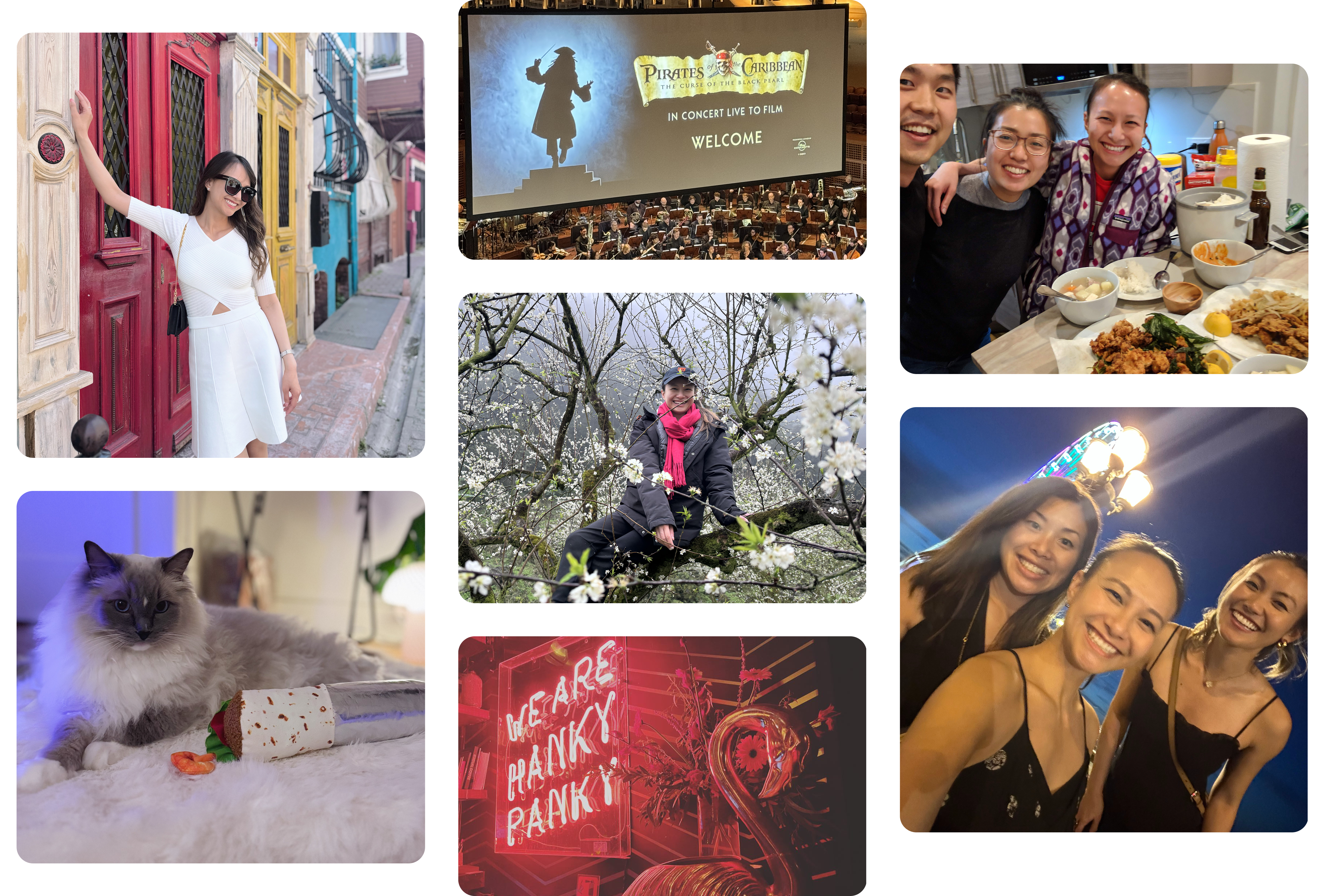 Photo collage: travel, friends, concerts, and life snapshots